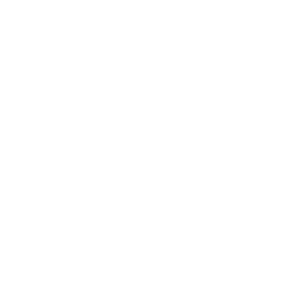 Standardt Logo